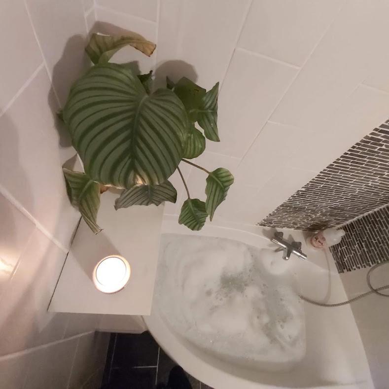 Au Pays D'Angeline Hotel La Pacaudière Szoba fotó